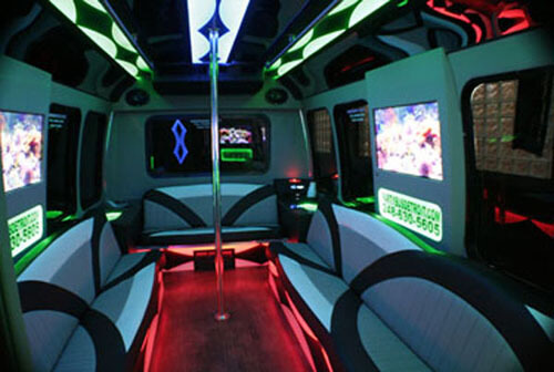 18 Passenger Limousine Bus