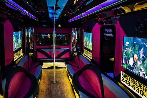 24 Passenger Pink Limousine Bus
