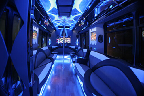 30 Passenger Limousine Bus